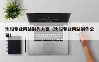 嘉峪关沈阳专业网站制作方案（沈阳专业网站制作公司）
